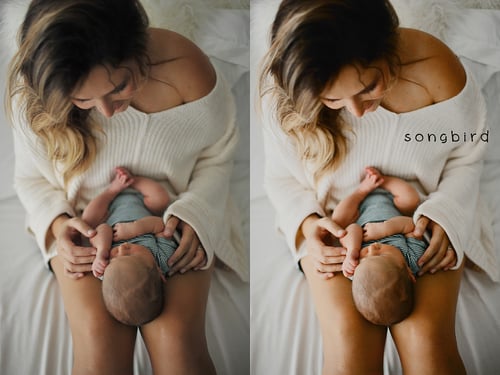 Image of SBP Daydreamers Collection