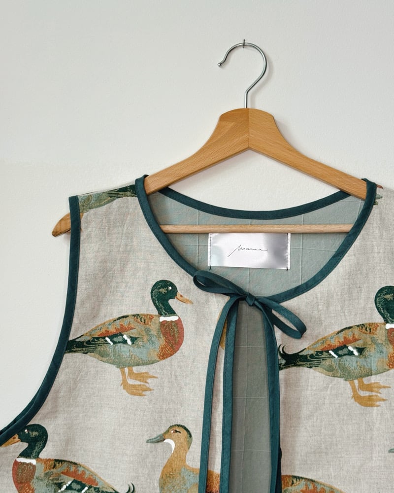 Image of n a n o v o  vesta 001