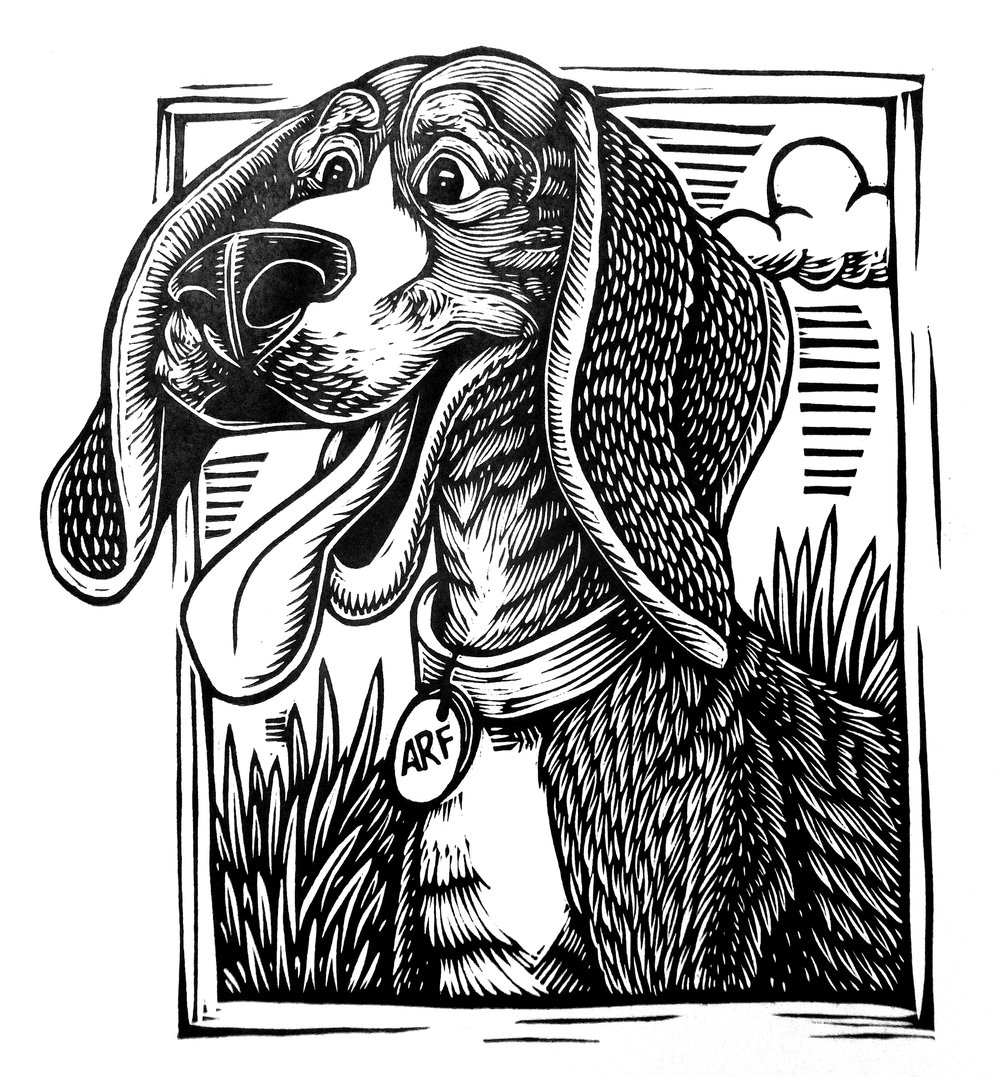 Dog T-shirt (B2) **FREE SHIPPING**