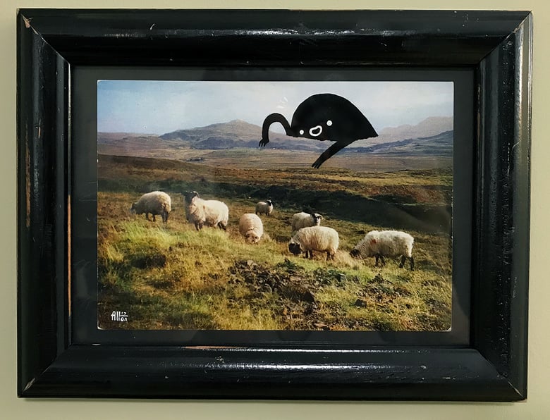Image of Highland Sheep-Glop