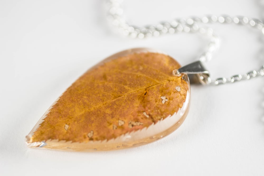 Image of Autumn Simple Leaf #4