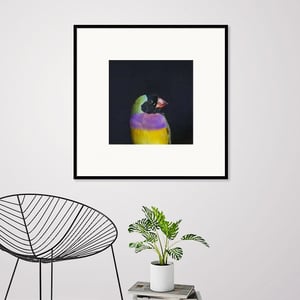 Image of Rainbow & Black Birdie