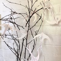 Image 4 of Garlands + new designs 