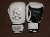 Image of White - Pro Boxing Gloves