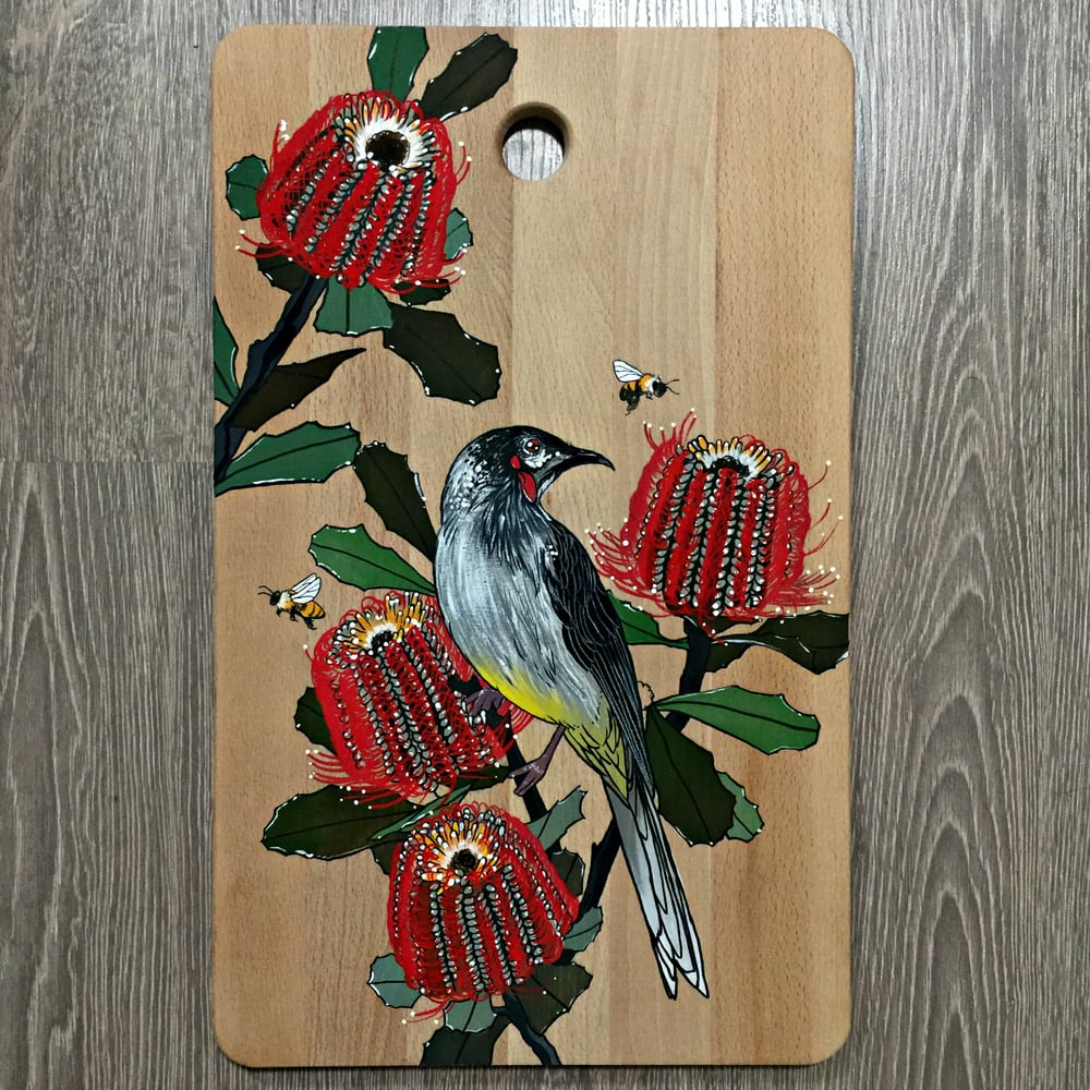 Image of Australian Wattlebird