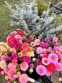 Blooming Bucket - Email to enquire 