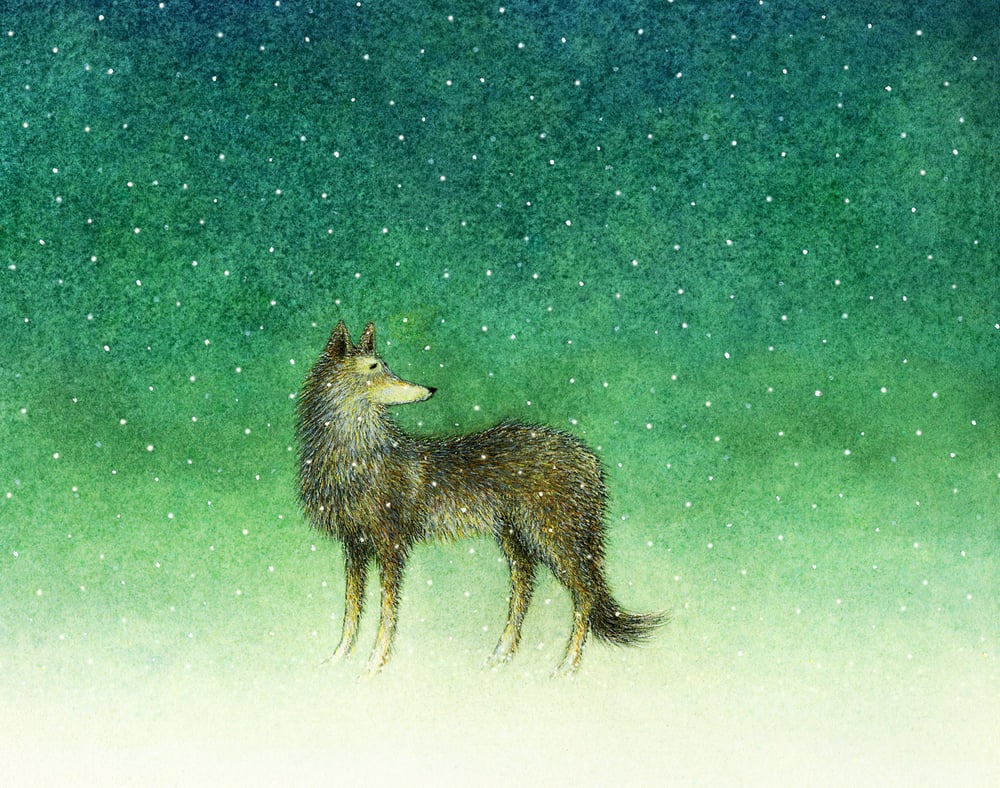 Image of To The Dark And The Snow that Falls