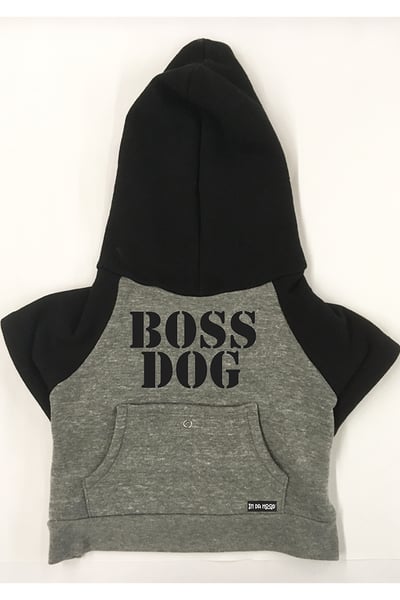 Image of Boss Dog