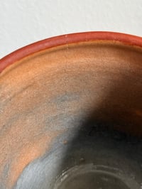 Image 4 of Jardín Botánico Pitcher - As Is