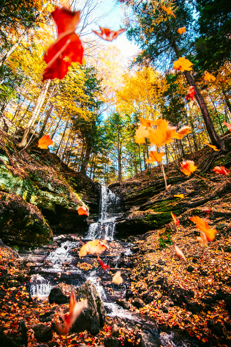 Horseshoe Falls Camerajesus