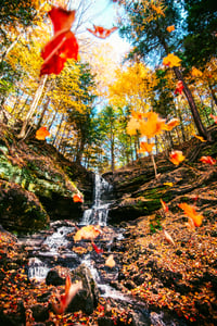 Image 1 of Horseshoe Falls