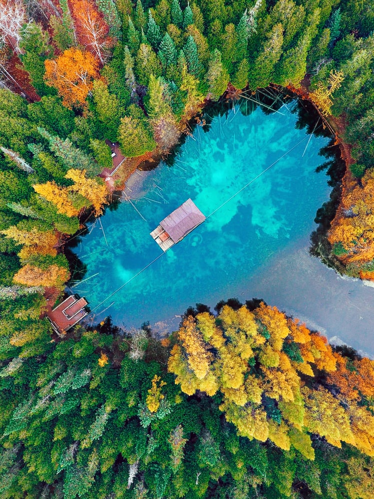 Image of Kitch-iti-kipi