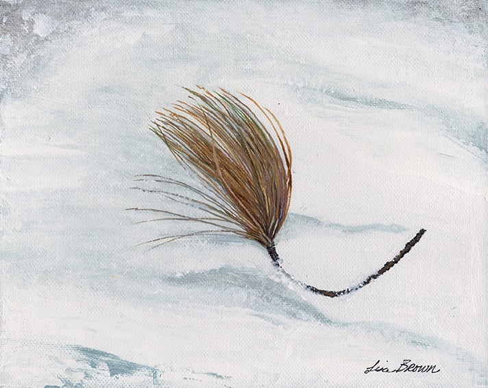 Image of Pine Bough
