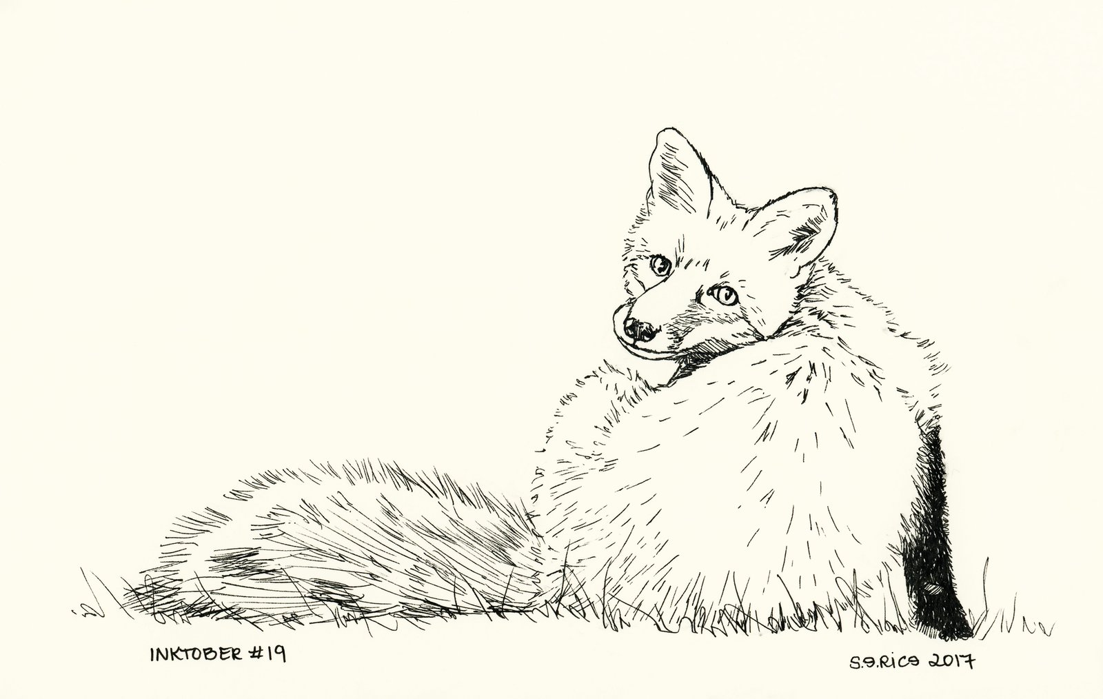 Inktober #19 - Fox / Sarah E. Rice