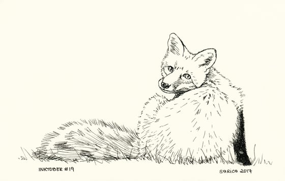 Image of Inktober #19 - Fox