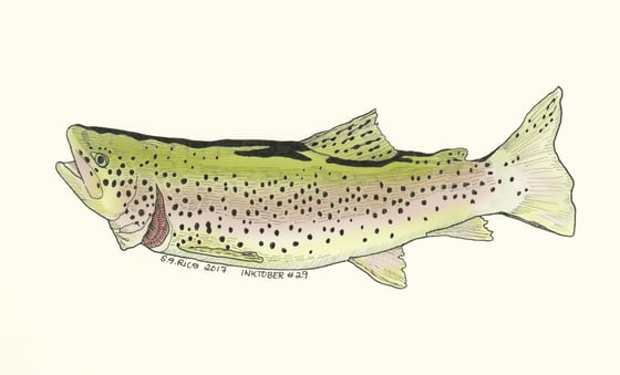 Image of Inktober #29 - Trout (2 versions)