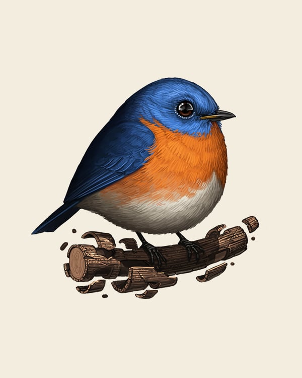 Image of Eastern Bluebird