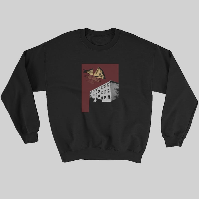 Image of Urban miracle?