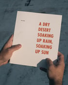 Image of A Dry Desert Soaking Up Rain, Soaking Up Sun
