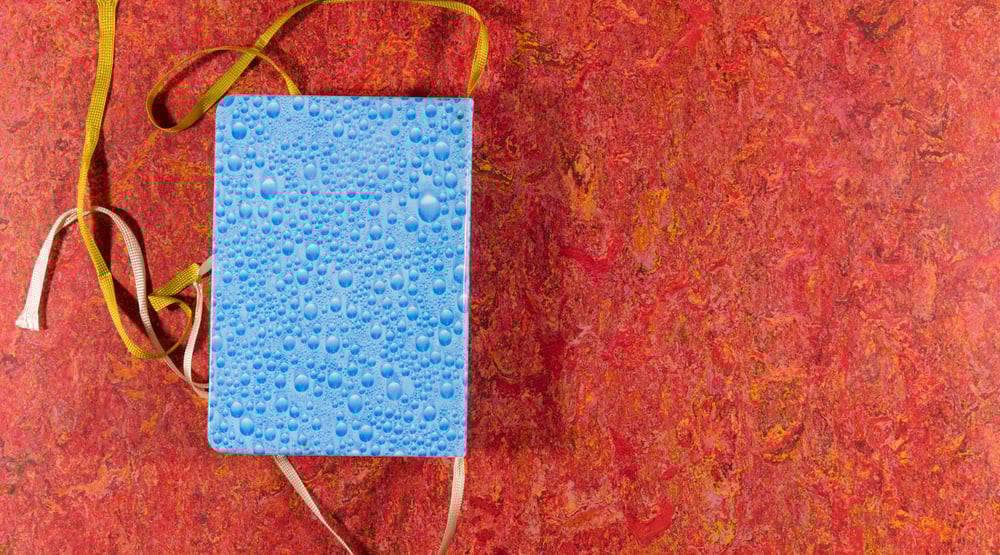 Image of 0+0=0 <br/> — Lisa Walker