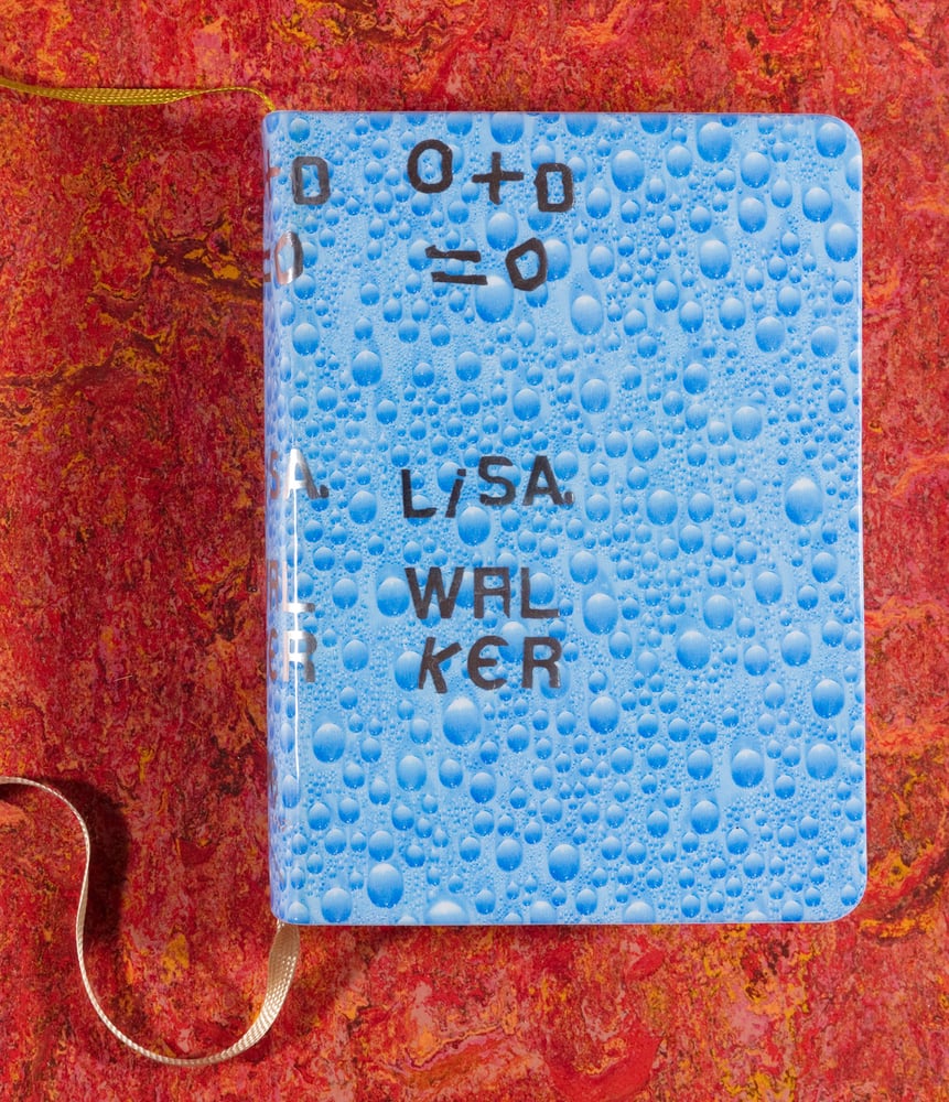 Image of 0+0=0 <br/> — Lisa Walker