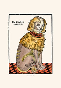 Image of IL CANE BARBINO