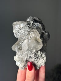 Image 1 of PHANTOM CALCITE  - LINWOOD MINE, BUFFALO, IOWA 12