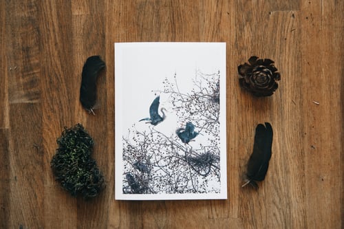 Image of heron greeting card