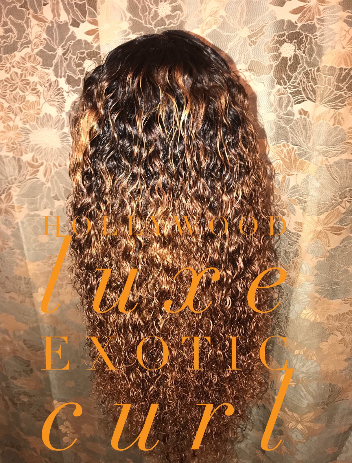 Image of Hollywood Exotic Curl