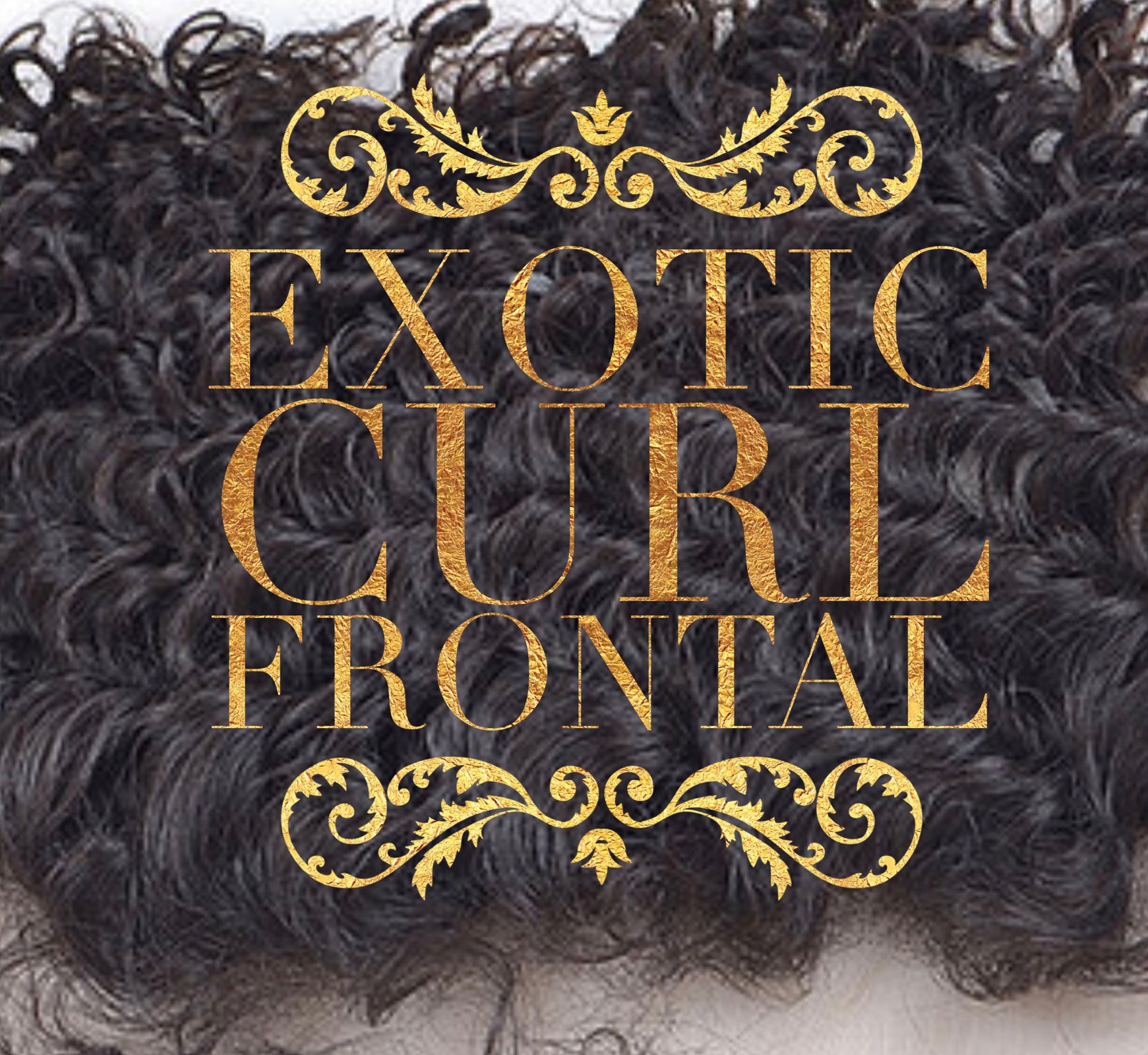 Image of Exotic Curl Frontal