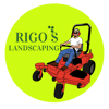 Custom Logo Design