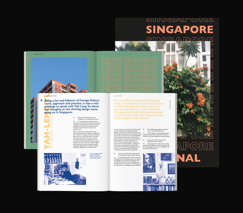 Image of Singapore Journal Publication