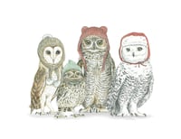 Winter Owls in Winter Hats