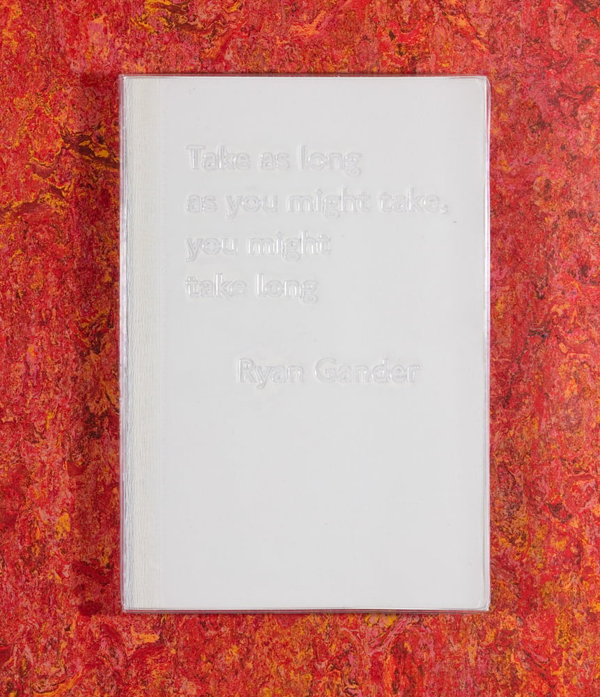 Image of Take as long as you might take, you might take long <br />— Ryan Gander
