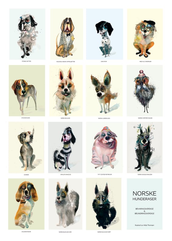 Image of Norske hunderaser - Bevaringsverdige og beundringsverdige