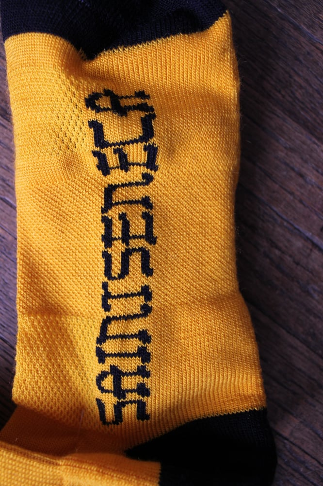 Image of Saintseneca Socks!