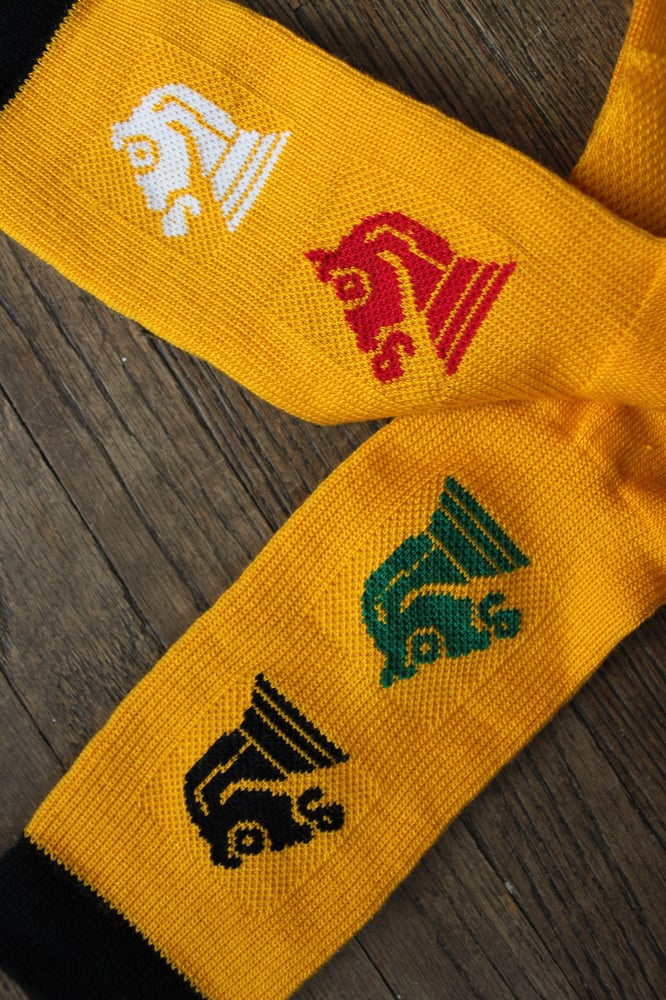 Image of Saintseneca Socks!