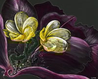 Image 1 of Orchid For Angie FINE ART PRINT