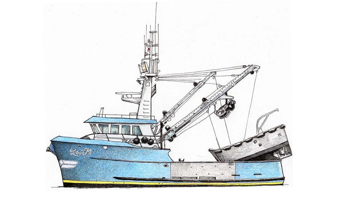 LOUI M 12 X 8