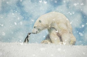 Image of Polar Bear Bundle