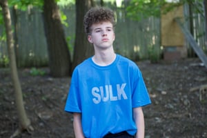 Image of Sulk