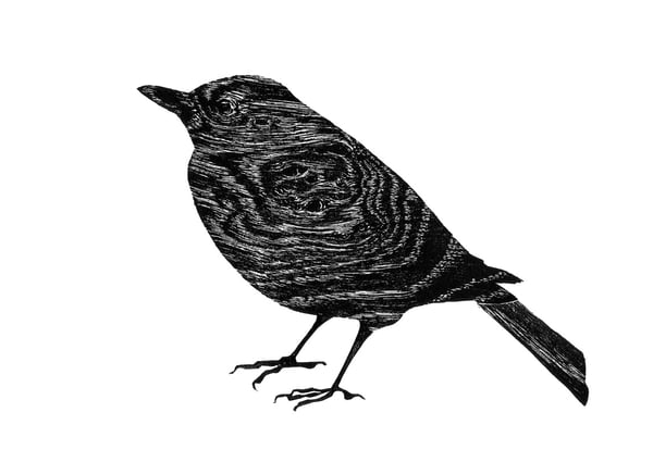 Image of postcard - merel