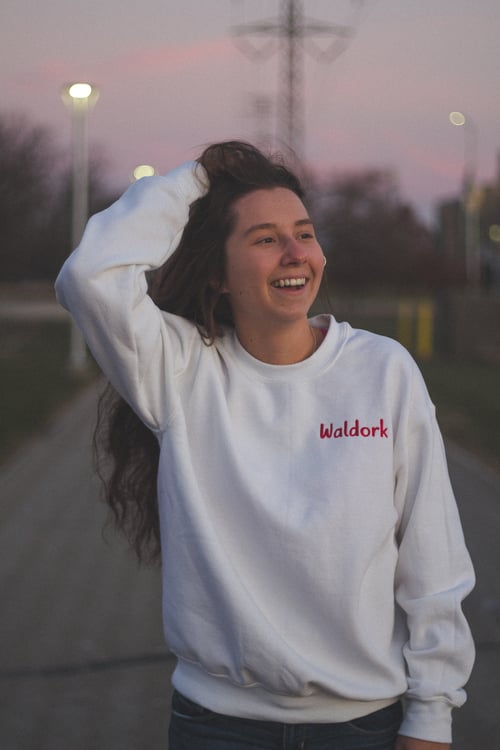 Image of Waldork Sweater