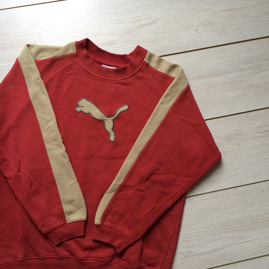 Image of Pull Puma - S