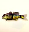 Blue Collar Gill 3 Piece Swimmer