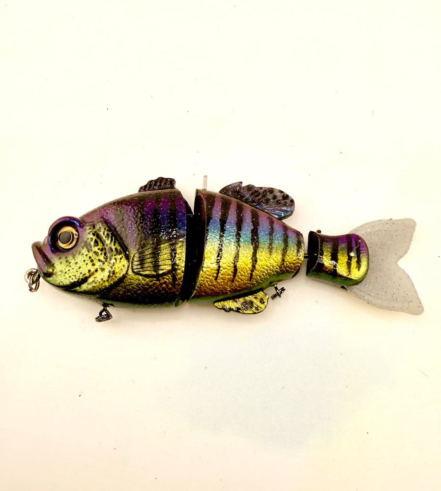 Blue Collar Gill 3 Piece Swimmer