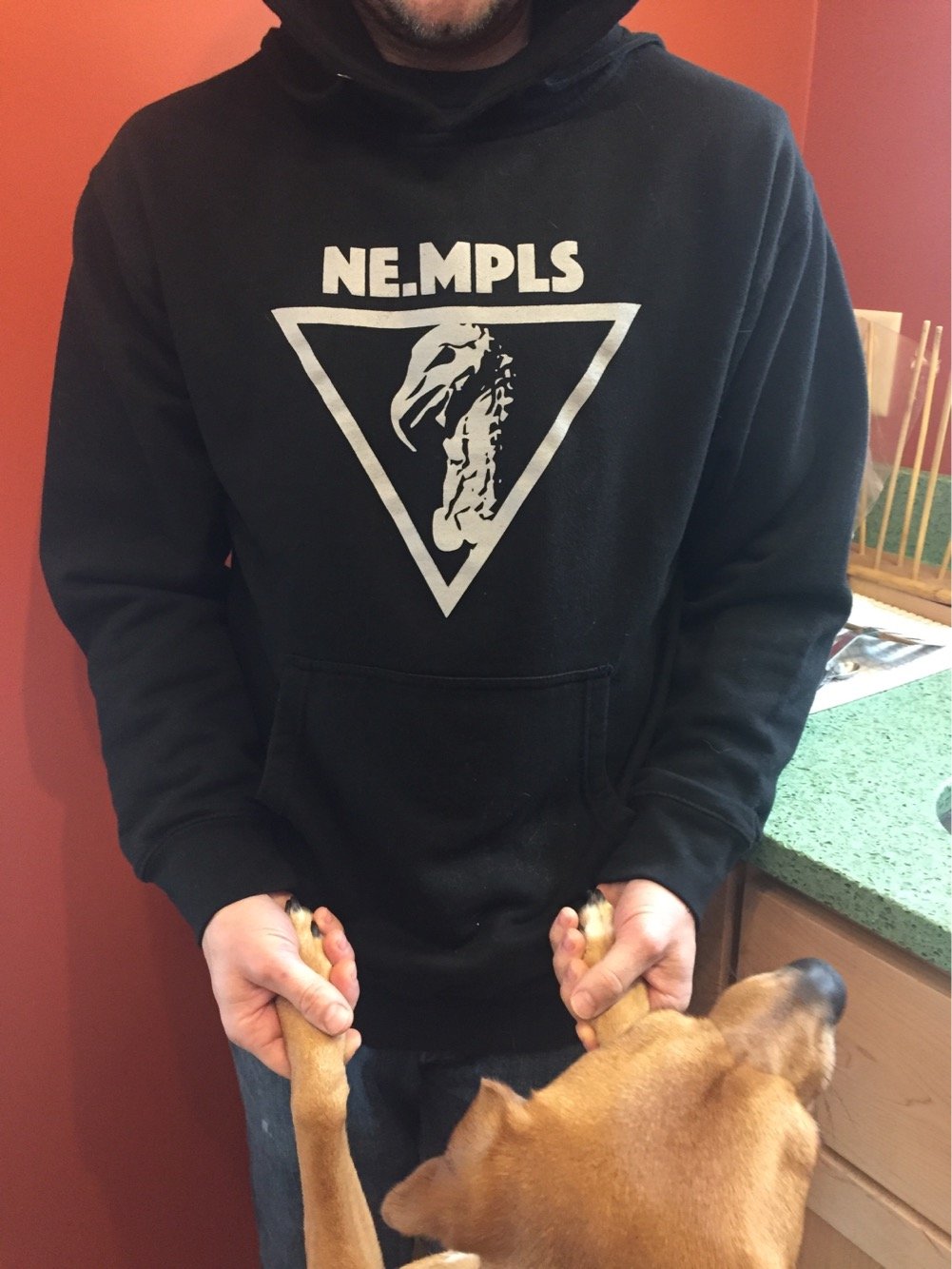 Image of NE MPLS Turkey hoodie