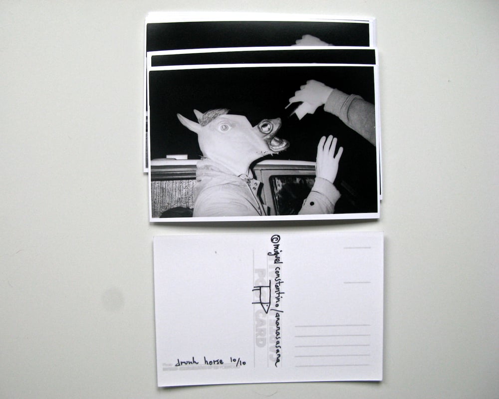 Image of Drunk horse postcard (gelatin silver print)