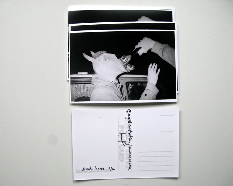 Image of Drunk horse postcard (gelatin silver print)
