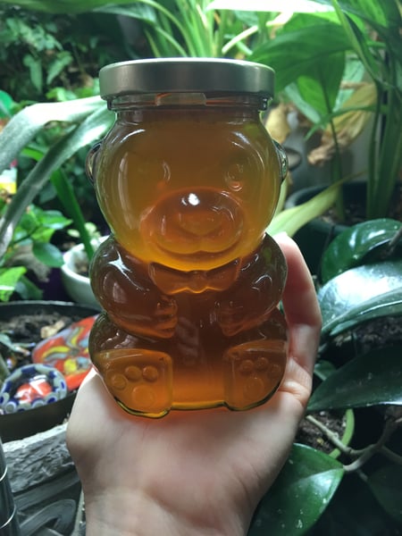 Image of Lavender infused honey